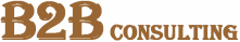 Logo B2B Consulting